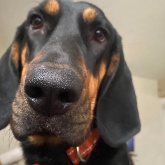 Meet your Posher, Matt - Picture 1 of 1